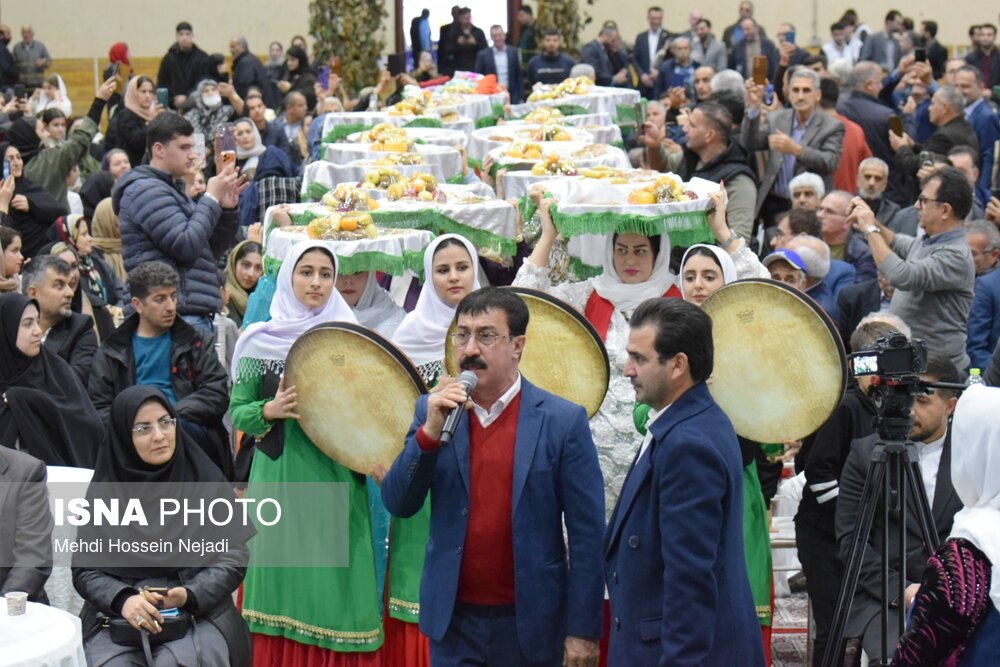 برگزاری جشنواره شکرانه برداشت کیوی در تالش؛ نمایش توان تولید و صادرات کشاورزی گیلان