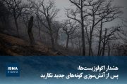 ویدیو/ هشدار اکولوژیست‌ها؛ پس از آتش‌سوزی، گونه‌های جدید نکارید