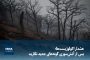 ویدیو/ هشدار اکولوژیست‌ها؛ پس از آتش‌سوزی، گونه‌های جدید نکارید