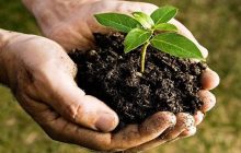 اجرای ۱۰۰ هزار هکتار مطالعات خاک شناسی در کشور در سال