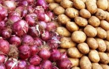 هدفگذاری تولید ۲.۱ میلیون تن گوجه فرنگی، سیب زمینی و پیاز در طرح استمرار