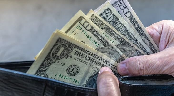 کاهش قیمت رسمی دلار - ایسنا