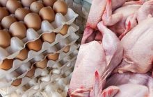 قیمت مرغ، تخم مرغ و گوشت اعلام شد