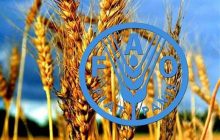 فائو: استفاده از فناوری هسته‌ای برای غلبه بر ناامنی غذایی ضروری است