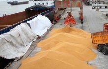 واردات 2.75 میلیون تن گندم در 10 ماهه امسال