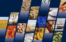 کاهش وابستگی به واردات با حذف ارز ترجیحی