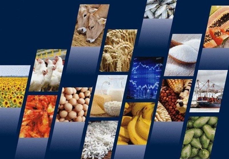 کاهش وابستگی به واردات با حذف ارز ترجیحی