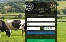 2 میلیون تن نهاده در بازارگاه بارگذاری شد/رفع منع صادرات مازاد تولید