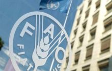 ایران خواستار استفاده رسمی از نام «خلیج فارس» در اسناد فائو شد