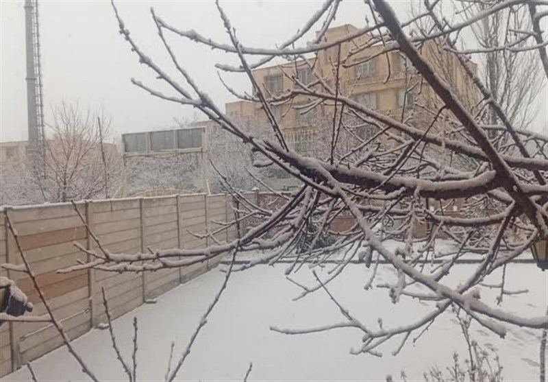 بارش برف و باران در اکثر مناطق کشور