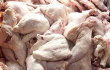 توزیع روزانه 2500 تن مرغ و گوشت قرمز در سطح تهران