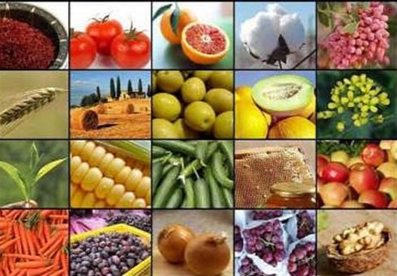 صادرات 20 محصول کشاورزی آزاد شد
