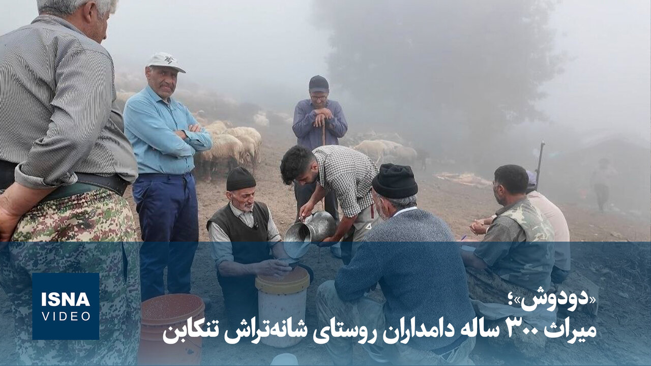 ویدیو/ «دودوش»؛ میراث ۳۰۰ ساله دامداران روستای شانه‌تراش تنکابن