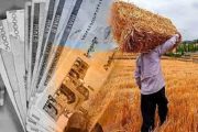 پرداخت ۳۰.۸ همت دیگر از مطالبات گندم‌کاران